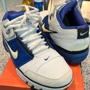 LeBron Air Generation Low